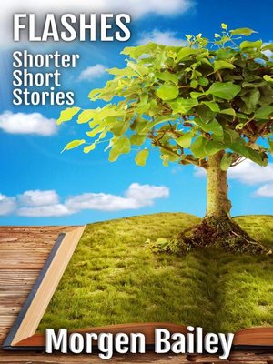 cover image of Flashes ~ Shorter Short Stories
